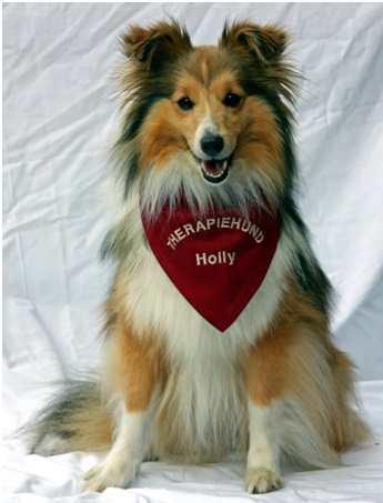 Holly Bild zu Bericht Therapiehund